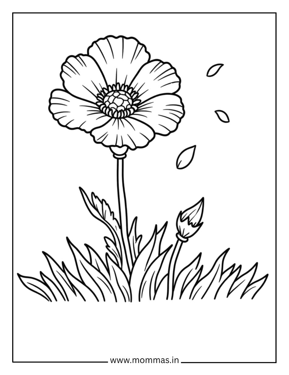 Beautiful flower coloring pages featuring detailed poppy with falling petals and grass for advanced coloring fun