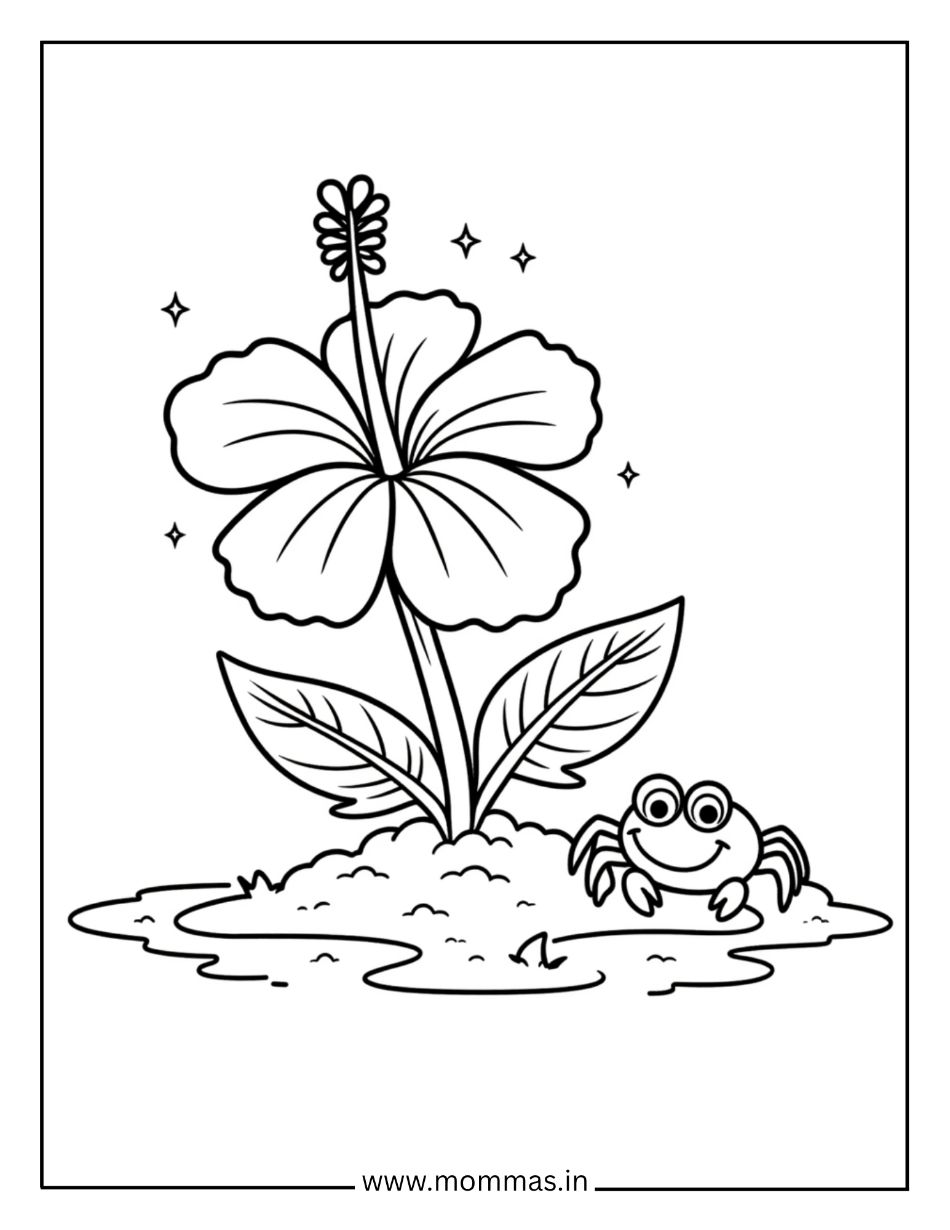 Tropical flower coloring pages featuring hibiscus flower with stars and friendly crab for nature exploration