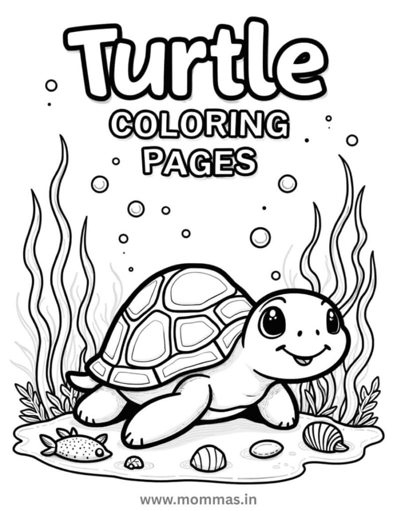 turtle coloring pages printable